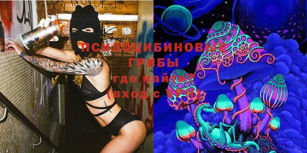 молекула духа Алзамай