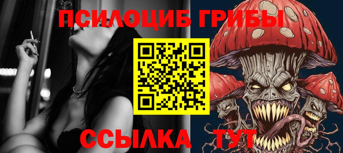 Можга  наркота  Вход с VPN  Галлюциногенные грибы Magic Shrooms 