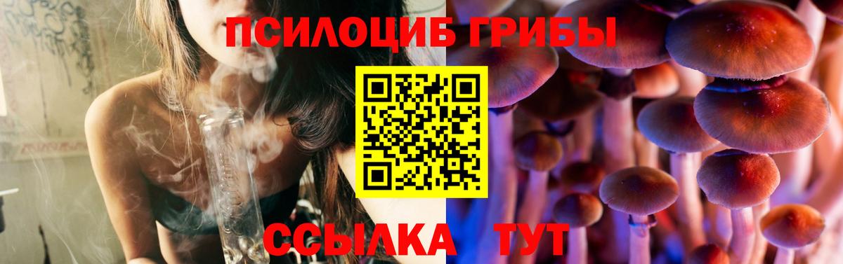 Псилоцибиновые грибы GOLDEN TEACHER Можга